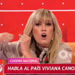 Viviana Canosa y el escándalo de noticias falsas: el caso Lizy Tagliani